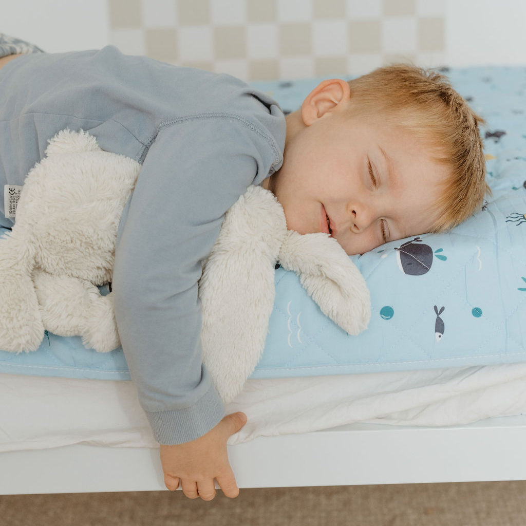 Leakproof Sheet + Bed Guard Set