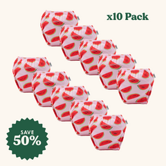 Rudie Baby 10-pack toilet training pants in Watermelon print