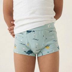 Rudie Baby toilet training underwear flat lay - Whales print, reusable potty training pants
